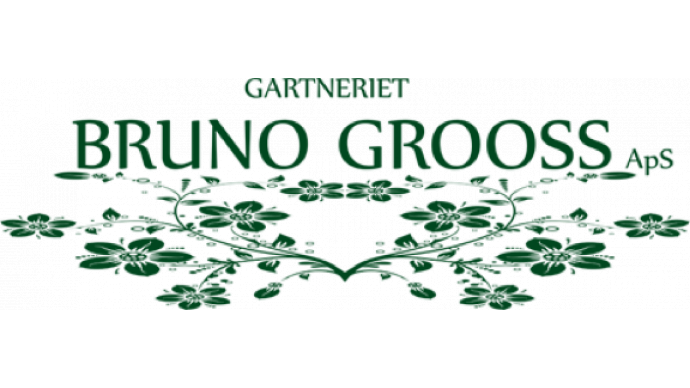 Bruno Grooss